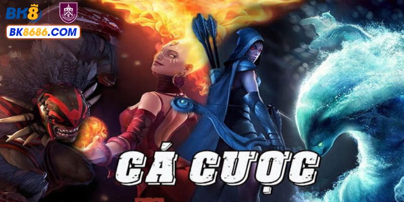 Blog cá cược online BK8 và tin tức hấp dẫn