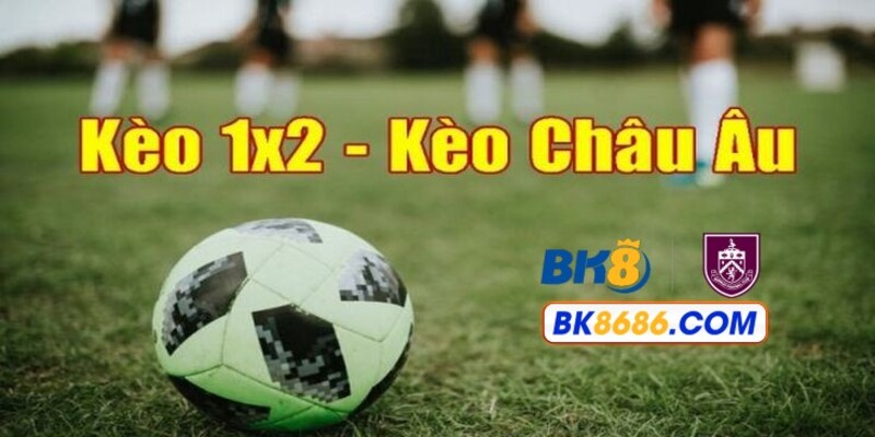 Cá cược bóng đá kèo châu Âu thích hợp cho người mới