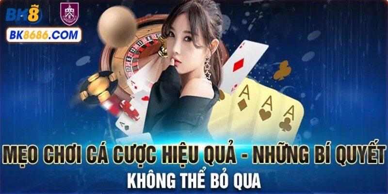 Mẹo cá cược hiệu quả tại BK8